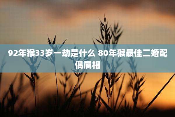 92年猴33岁一劫是什么 80年猴最佳二婚配偶属相