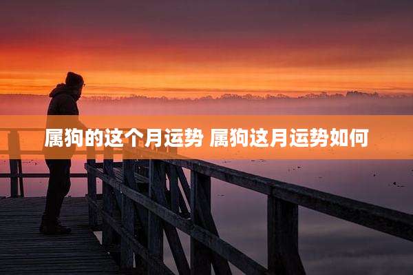属狗的这个月运势 属狗这月运势如何
