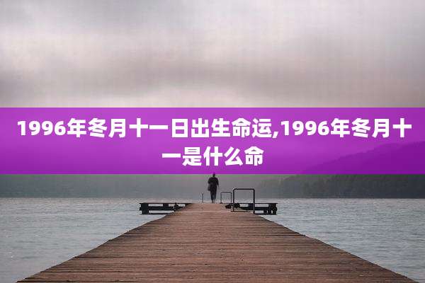 1996年冬月十一日出生命运,1996年冬月十一是什么命