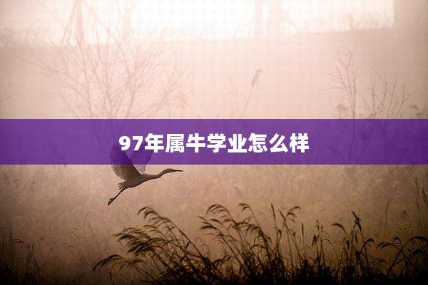 97年属牛学业怎么样