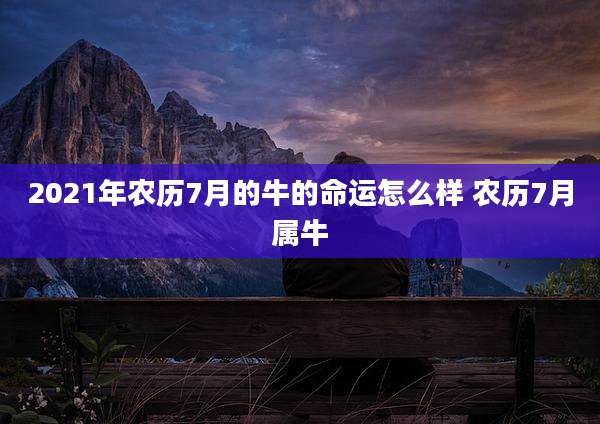 2021年农历7月的牛的命运怎么样 农历7月属牛