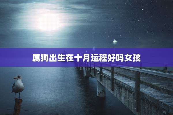 属狗出生在十月运程好吗女孩