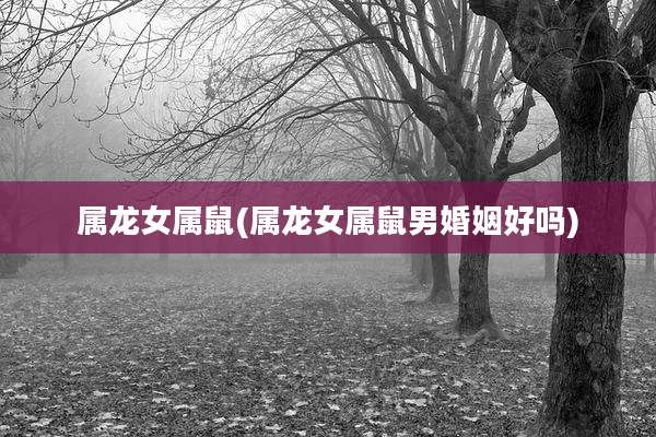 属龙女属鼠(属龙女属鼠男婚姻好吗)