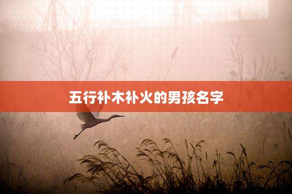 五行补木补火的男孩名字