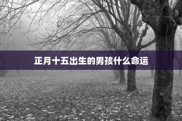 正月十五出生的男孩什么命运