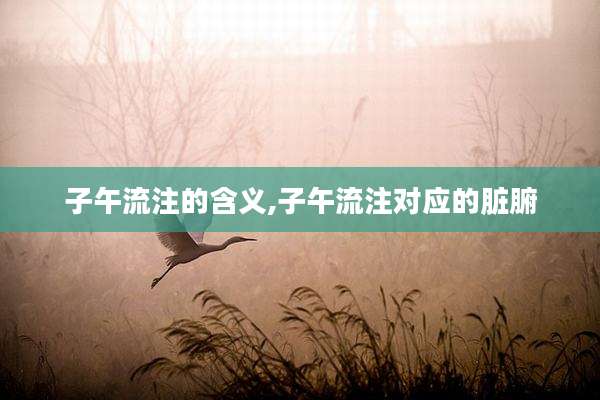 子午流注的含义,子午流注对应的脏腑