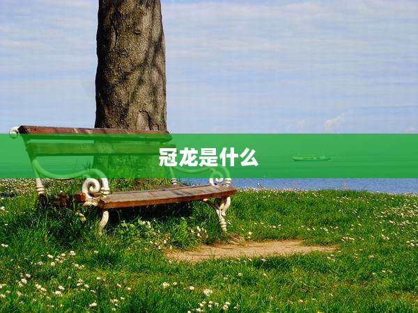 冠龙是什么