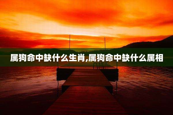属狗命中缺什么生肖,属狗命中缺什么属相