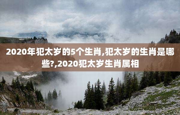 2020年犯太岁的5个生肖,犯太岁的生肖是哪些?,2020犯太岁生肖属相