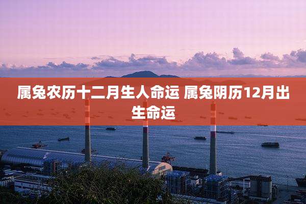 属兔农历十二月生人命运 属兔阴历12月出生命运