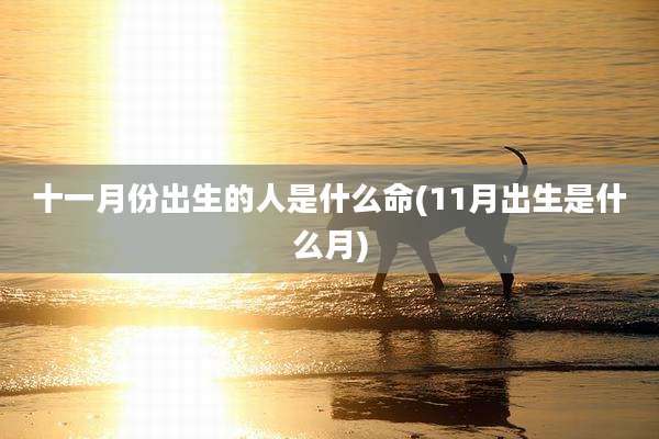 十一月份出生的人是什么命(11月出生是什么月)