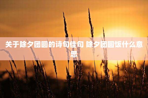 关于除夕团圆的诗句佳句 除夕团圆饭什么意思