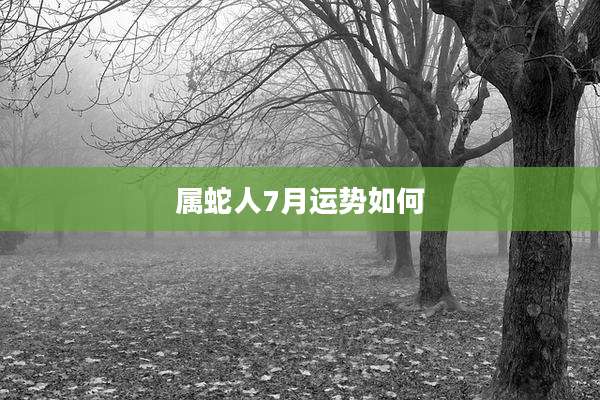 属蛇人7月运势如何