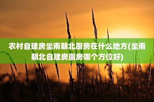 农村自建房坐南朝北厨房在什么地方(坐南朝北自建房厨房哪个方位好)