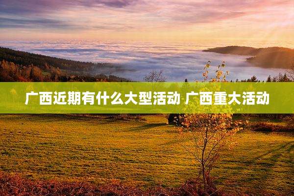 广西近期有什么大型活动 广西重大活动