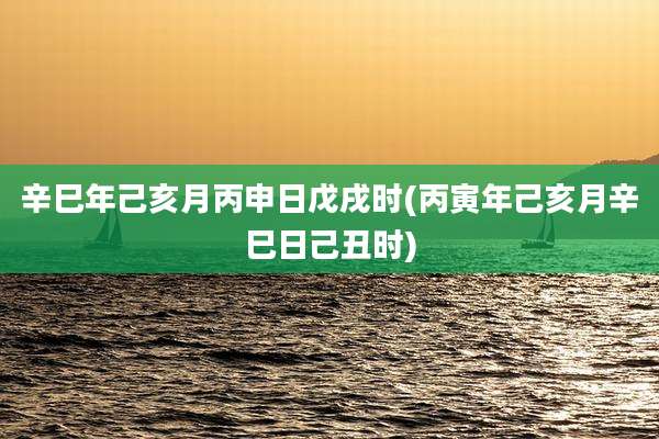 辛巳年己亥月丙申日戊戌时(丙寅年己亥月辛巳日己丑时)