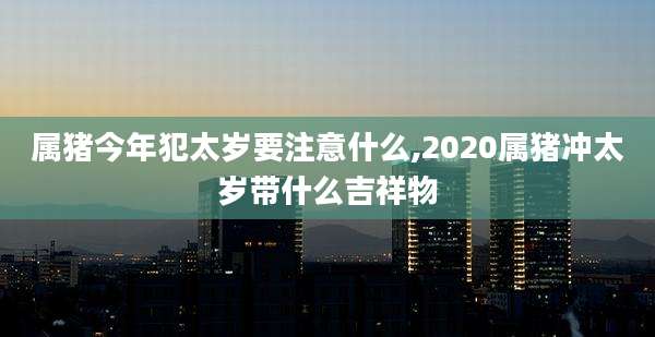 属猪今年犯太岁要注意什么,2020属猪冲太岁带什么吉祥物
