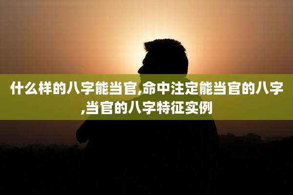 什么样的八字能当官,命中注定能当官的八字,当官的八字特征实例