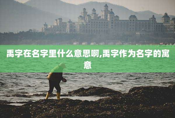 禹字在名字里什么意思啊,禹字作为名字的寓意
