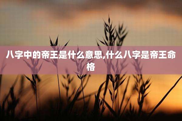 八字中的帝王是什么意思,什么八字是帝王命格