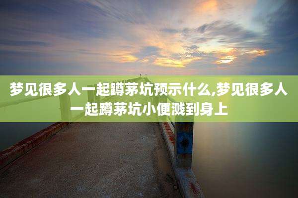 梦见很多人一起蹲茅坑预示什么,梦见很多人一起蹲茅坑小便溅到身上