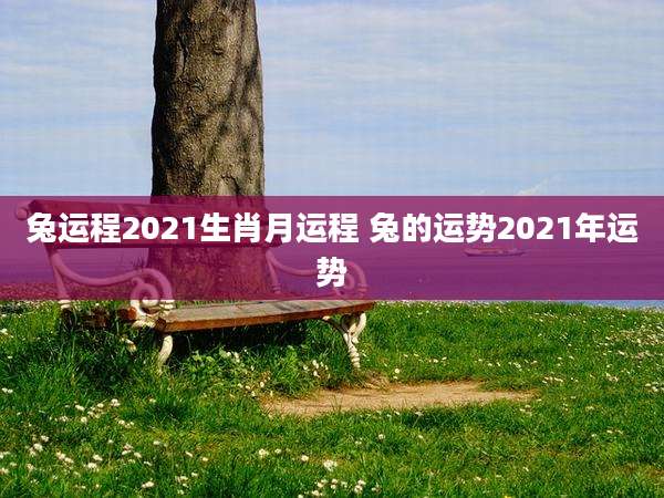 兔运程2021生肖月运程 兔的运势2021年运势