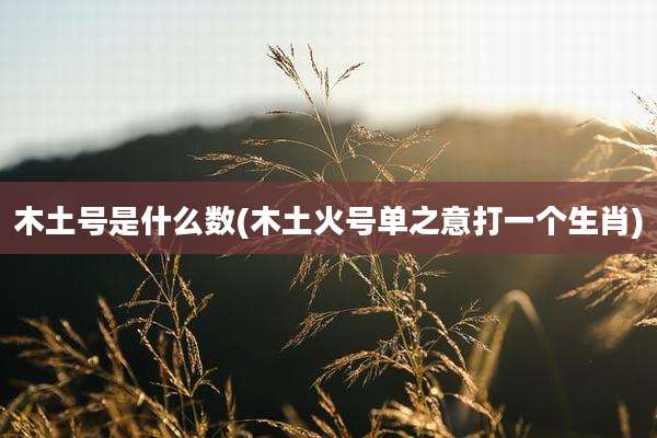 木土号是什么数(木土火号单之意打一个生肖)