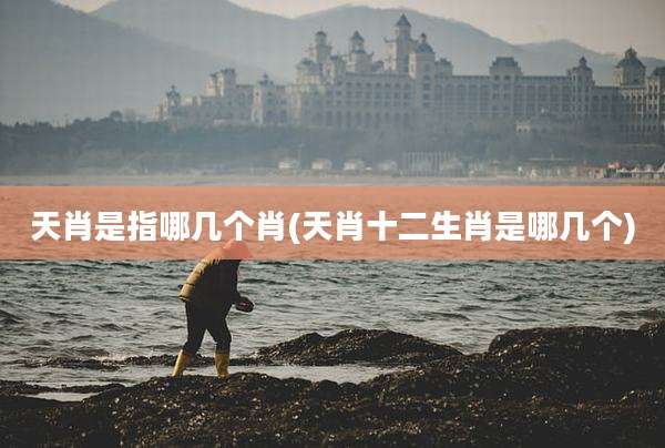 天肖是指哪几个肖(天肖十二生肖是哪几个)