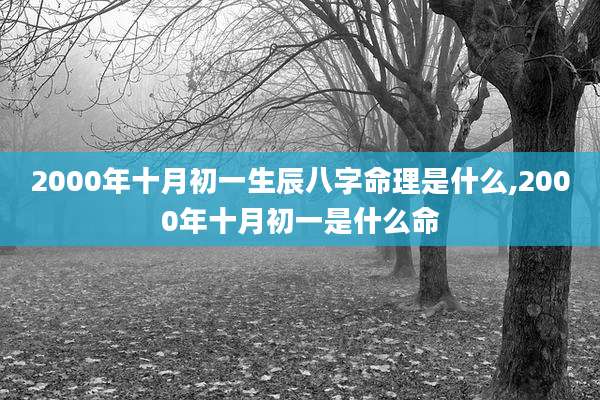 2000年十月初一生辰八字命理是什么,2000年十月初一是什么命