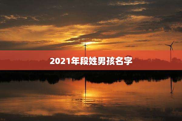 2021年段姓男孩名字