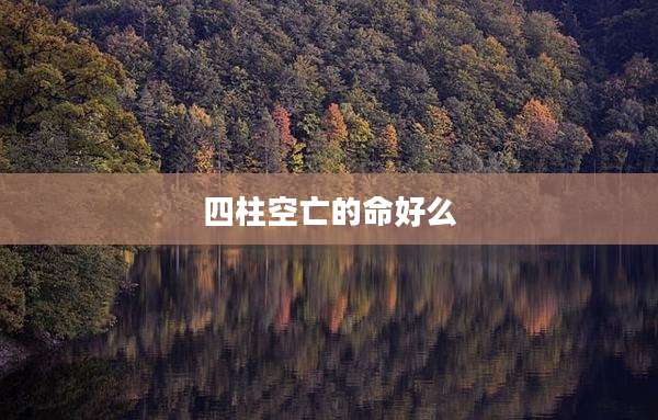 四柱空亡的命好么