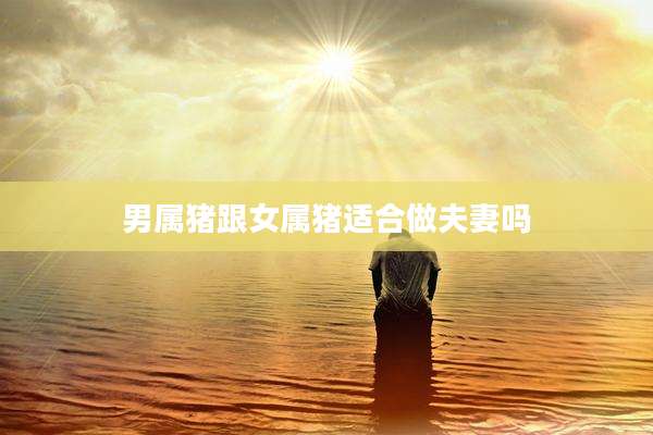 男属猪跟女属猪适合做夫妻吗