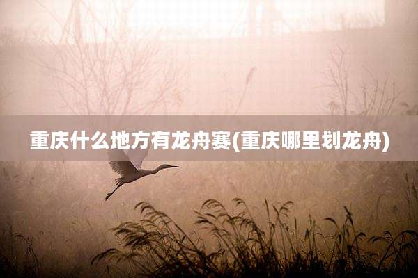 重庆什么地方有龙舟赛(重庆哪里划龙舟)