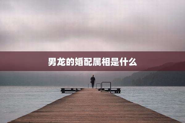 男龙的婚配属相是什么