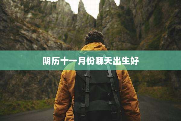 阴历十一月份哪天出生好