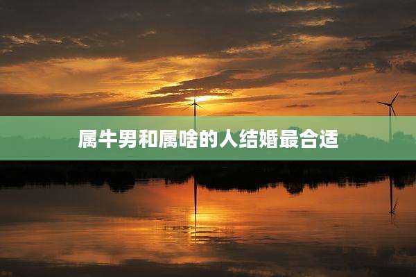 属牛男和属啥的人结婚最合适