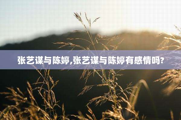 张艺谋与陈婷,张艺谋与陈婷有感情吗?