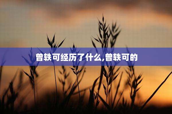 曾轶可经历了什么,曾轶可的