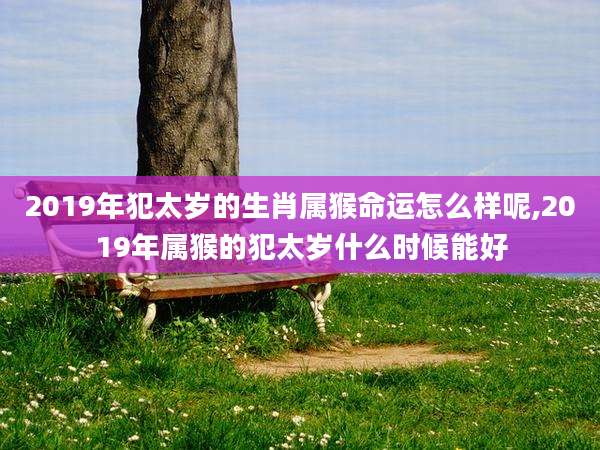 2019年犯太岁的生肖属猴命运怎么样呢,2019年属猴的犯太岁什么时候能好