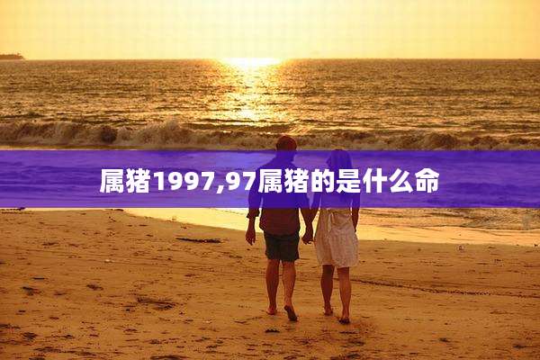 属猪1997,97属猪的是什么命