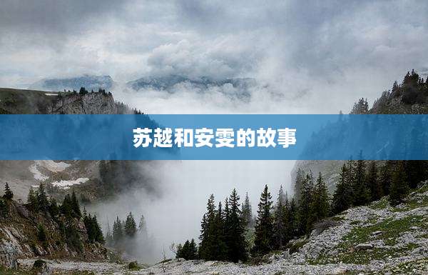 苏越和安雯的故事