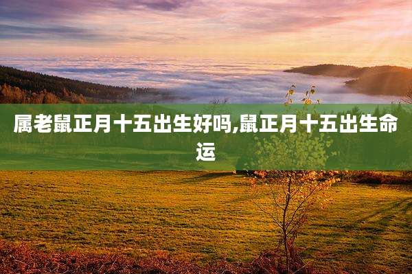 属老鼠正月十五出生好吗,鼠正月十五出生命运