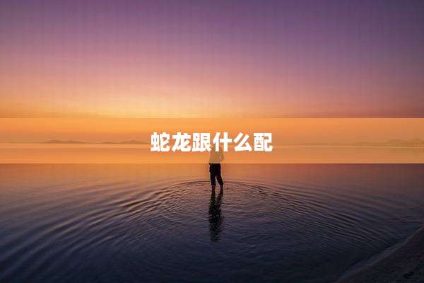 蛇龙跟什么配