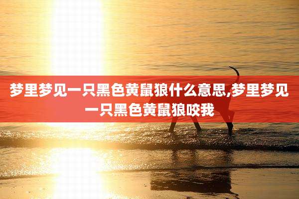 梦里梦见一只黑色黄鼠狼什么意思,梦里梦见一只黑色黄鼠狼咬我