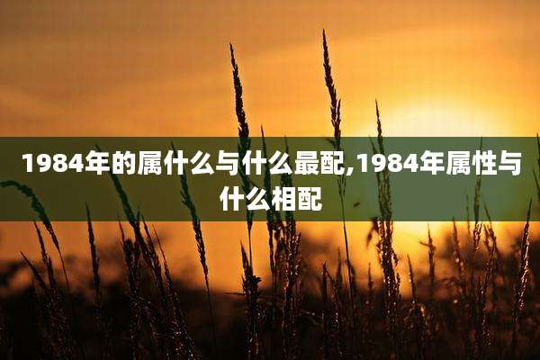 1984年的属什么与什么最配,1984年属性与什么相配