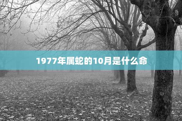 1977年属蛇的10月是什么命