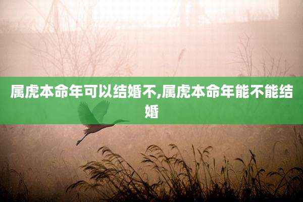 属虎本命年可以结婚不,属虎本命年能不能结婚