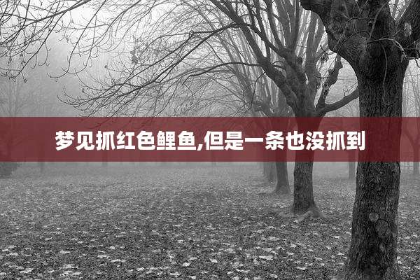 梦见抓红色鲤鱼,但是一条也没抓到