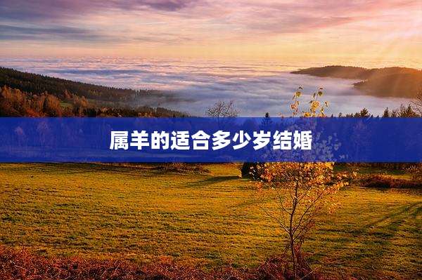 属羊的适合多少岁结婚