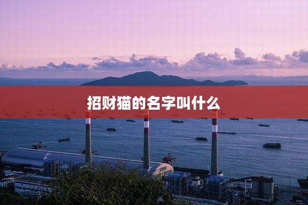 招财猫的名字叫什么